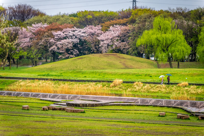 野川公園と武蔵野公園